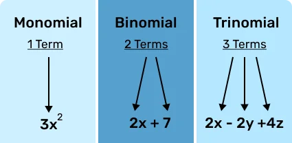 types of polynomials
